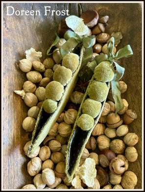 Velvet Pea Pod Pin Keeps