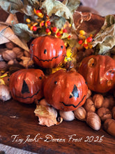 Tiny Jacks ~ Small Hand Sculpted Pumpkins