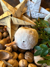 Spun Cotton Snow~Folke Ornaments