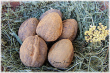 Blackened Beeswax ~ Walnuts