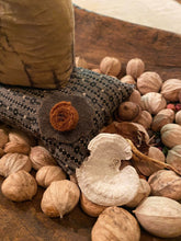 Mourning Pinkeep with Lithograph Cat