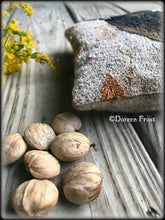 Olde Salem Cat & Jax Double Punch Needle Embroidery Pattern